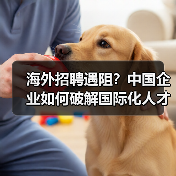 海外招聘遇阻?中国企业如何破解国际化人才难题-图4 海外招聘遇阻?中国企业如何破解国际化人才难题-图4
