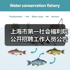 上海市第一社会福利院公开招聘工作人员公告-图4