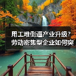 用工难倒逼产业升级?劳动密集型企业如何突围-图3 用工难倒逼产业升级?劳动密集型企业如何突围-图3