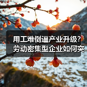 用工难倒逼产业升级?劳动密集型企业如何突围-图5 用工难倒逼产业升级?劳动密集型企业如何突围-图5