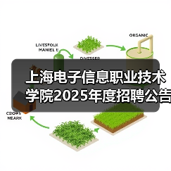 上海电子信息职业技术学院2025年度招聘公告(第一批次)-图3