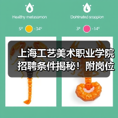 上海工艺美术职业学院招聘条件揭秘！附岗位详情-图3