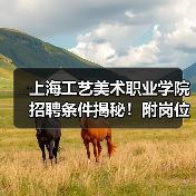 上海工艺美术职业学院招聘条件揭秘！附岗位详情-图6