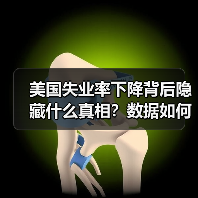 美国失业率下降背后隐藏什么真相？数据如何被粉饰？-图4