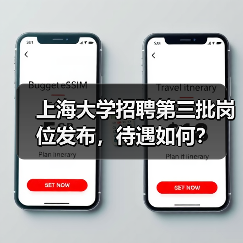 上海大学招聘第三批岗位发布，待遇如何？-图6