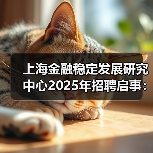 上海金融稳定发展研究中心2025年招聘启事：岗位解析与报考指南-图3