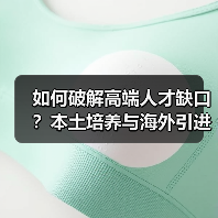 如何破解高端人才缺口？本土培养与海外引进的平衡之道-图5