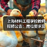 上海材料工程学校教师招聘公告：岗位要求及报名流程详解-图4