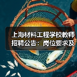 上海材料工程学校教师招聘公告：岗位要求及报名流程详解-图5