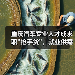 重庆汽车专业人才成求职”抢手货”，就业供需比达1:5-图5