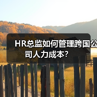 HR总监如何管理跨国公司人力成本？-图4