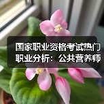 国家职业资格考试热门职业分析：公共营养师与理财规划师-图3