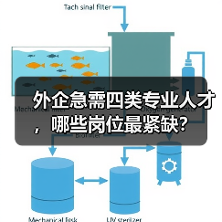 外企急需四类专业人才，哪些岗位最紧缺？-图5
