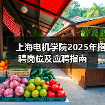 上海电机学院2025年招聘岗位及应聘指南-图3