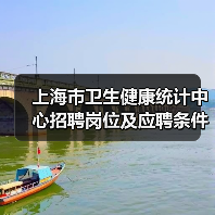 上海市卫生健康统计中心招聘岗位及应聘条件解析-图5