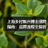上海乡村振兴博士招聘指南：应聘流程全解析-图3