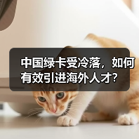 中国绿卡受冷落，如何有效引进海外人才？-图5