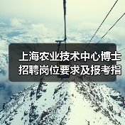 上海农业技术中心博士招聘岗位要求及报考指南-图4
