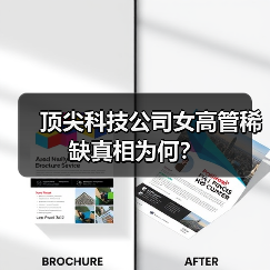 顶尖科技公司女高管稀缺真相为何？-图3