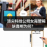 顶尖科技公司女高管稀缺真相为何？-图4