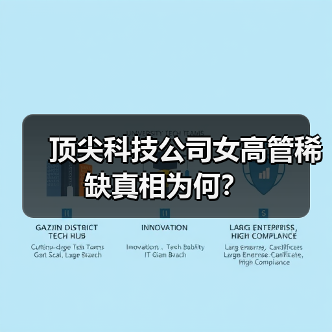 顶尖科技公司女高管稀缺真相为何？-图6