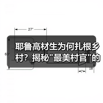 耶鲁高材生为何扎根乡村？揭秘”最美村官”的逆袭之路-图3