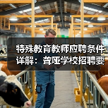特殊教育教师应聘条件详解：聋哑学校招聘要求全公开-图5