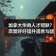 加拿大华裔人才短缺？高管呼吁提升语言与团队合作能力-图5