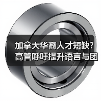 加拿大华裔人才短缺？高管呼吁提升语言与团队合作能力-图6