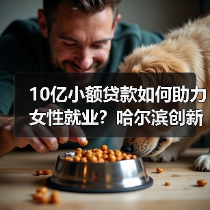 10亿小额贷款如何助力女性就业？哈尔滨创新举措显成效-图6