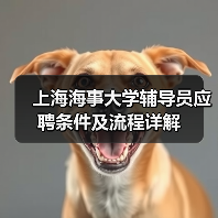 上海海事大学辅导员应聘条件及流程详解-图4