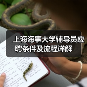 上海海事大学辅导员应聘条件及流程详解-图3