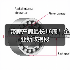 带薪产假最长16周！企业新政揭秘-图3