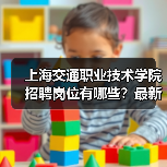 上海交通职业技术学院招聘岗位有哪些？最新岗位信息-图6