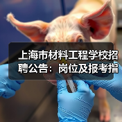 上海市材料工程学校招聘公告：岗位及报考指南-图3