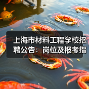 上海市材料工程学校招聘公告：岗位及报考指南-图4