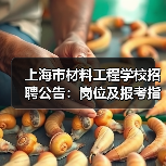 上海市材料工程学校招聘公告：岗位及报考指南-图6