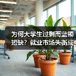 为何大学生过剩而蓝领短缺?就业市场失衡成因分析-图4 为何大学生过剩而蓝领短缺?就业市场失衡成因分析-图4