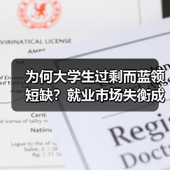 为何大学生过剩而蓝领短缺?就业市场失衡成因分析-图6 为何大学生过剩而蓝领短缺?就业市场失衡成因分析-图6