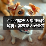 企业招聘五大常用途径解析:高效招人必备方法-图4 企业招聘五大常用途径解析:高效招人必备方法-图4