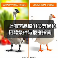 上海药品监测员等岗位招聘条件与报考指南-图6 上海药品监测员等岗位招聘条件与报考指南-图6