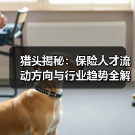 猎头揭秘:保险人才流动方向与行业趋势全解析-图5 猎头揭秘:保险人才流动方向与行业趋势全解析-图5