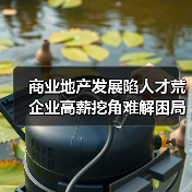商业地产发展陷人才荒 企业高薪挖角难解困局-图6