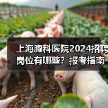 上海胸科医院2024招聘岗位有哪些?报考指南全解析-图3 上海胸科医院2024招聘岗位有哪些?报考指南全解析-图3