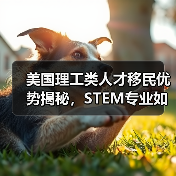 美国理工类人才移民优势揭秘,STEM专业如何快速拿绿卡?-图3 美国理工类人才移民优势揭秘,STEM专业如何快速拿绿卡?-图3