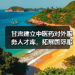 甘肃建立中医药对外服务人才库，拓展国际服务合作-图6