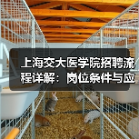 上海交大医学院招聘流程详解:岗位条件与应聘步骤全攻略-图3 上海交大医学院招聘流程详解:岗位条件与应聘步骤全攻略-图3