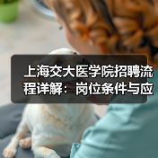 上海交大医学院招聘流程详解:岗位条件与应聘步骤全攻略-图5 上海交大医学院招聘流程详解:岗位条件与应聘步骤全攻略-图5