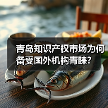 青岛知识产权市场为何备受国外机构青睐?-图4 青岛知识产权市场为何备受国外机构青睐?-图4
