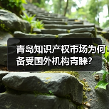 青岛知识产权市场为何备受国外机构青睐?-图6 青岛知识产权市场为何备受国外机构青睐?-图6